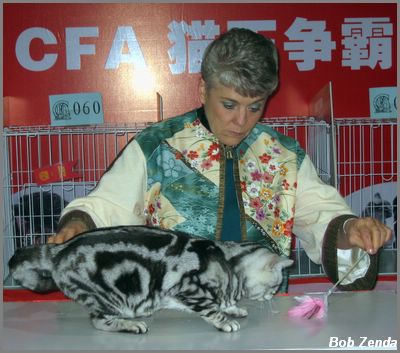 Carolyn & Tsu-Kee-Ah-Kee Phoenix of Cat Life, 2B Cat